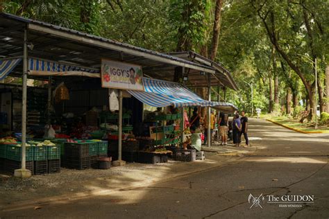 tanging yaman foundation|Tanging Yaman.